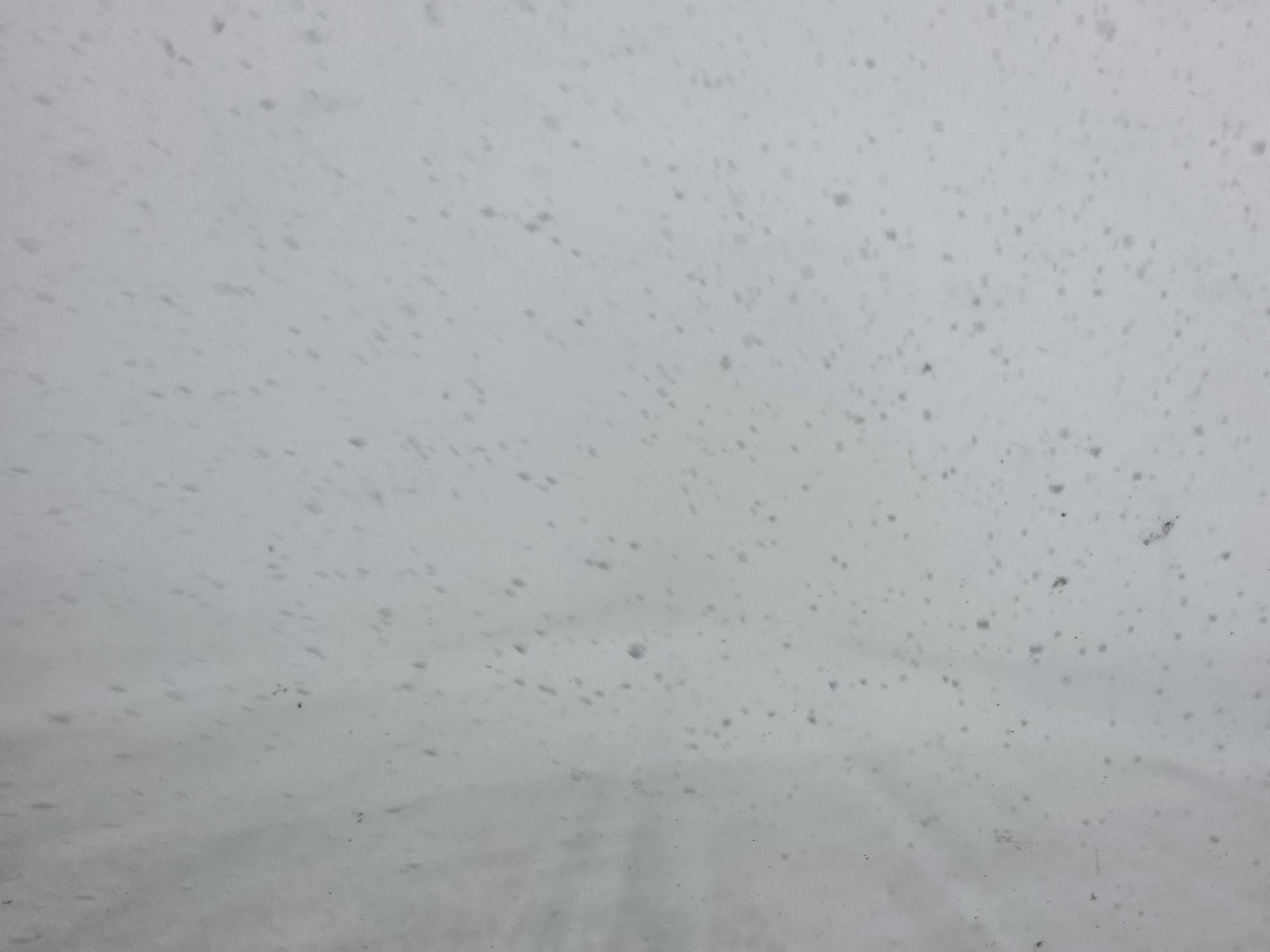 Travel not recommended around Maple Creek, Leader