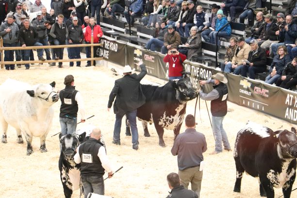 Agribition delivers record $151M boost to Saskatchewan economy