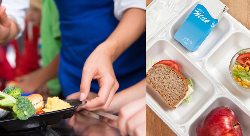 Federal government launches $12.6M research fund to strengthen school food programs