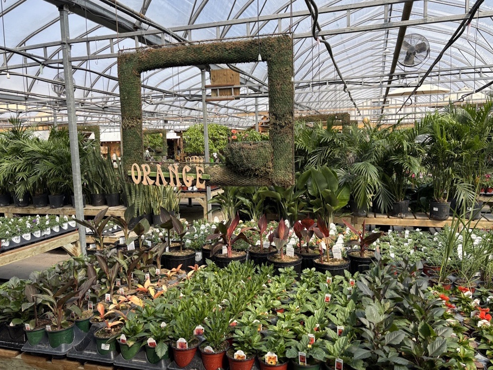Spring gardening season blooms with advice from local expert