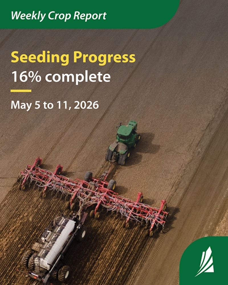 Saskatchewan seeding reaches 16 per cent as fieldwork accelerates ...