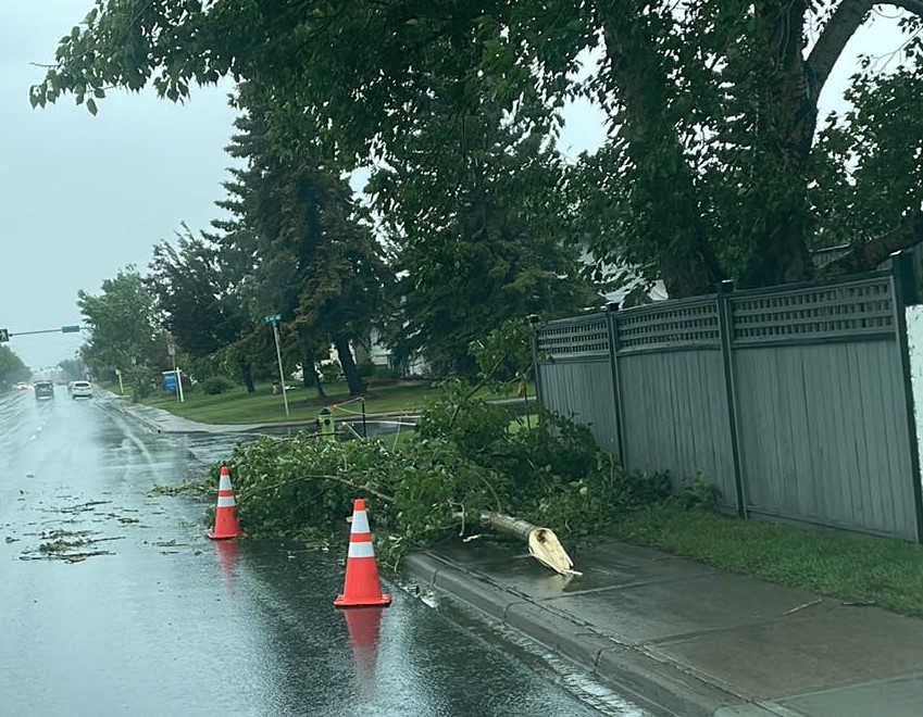 Parts of Rocky View County under wind warning as 100 km/h gusts forecast