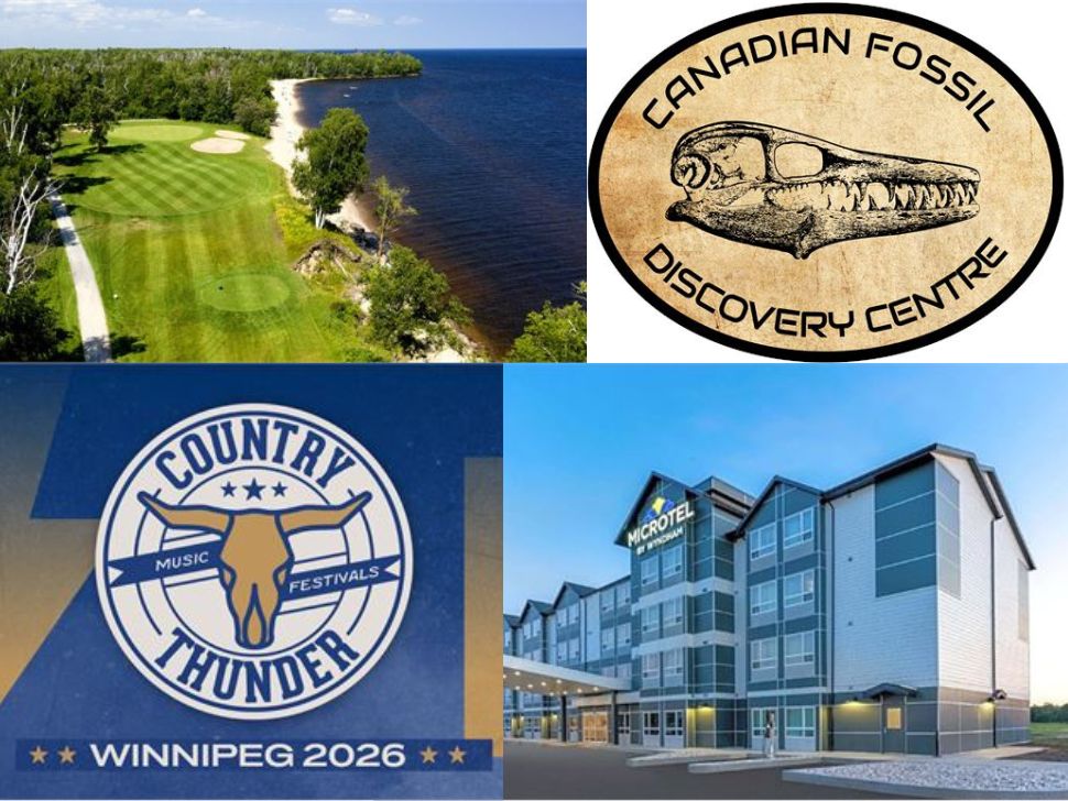 Support Canadian businesses through the See More Canada auction