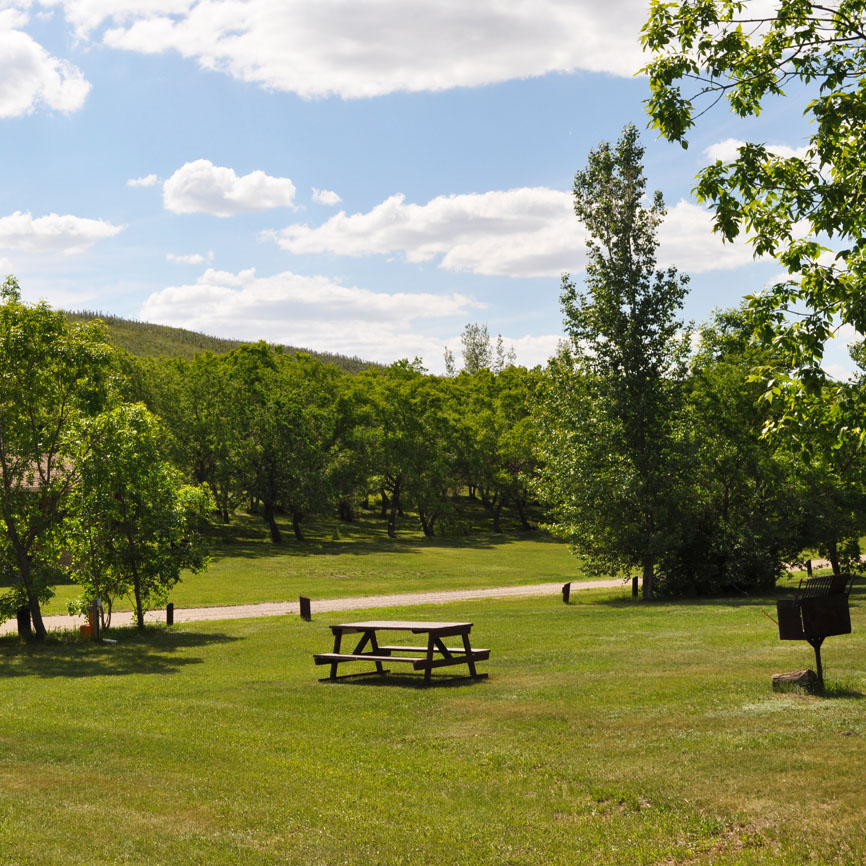 Saskatchewan libraries open door to nearly 100 regional parks