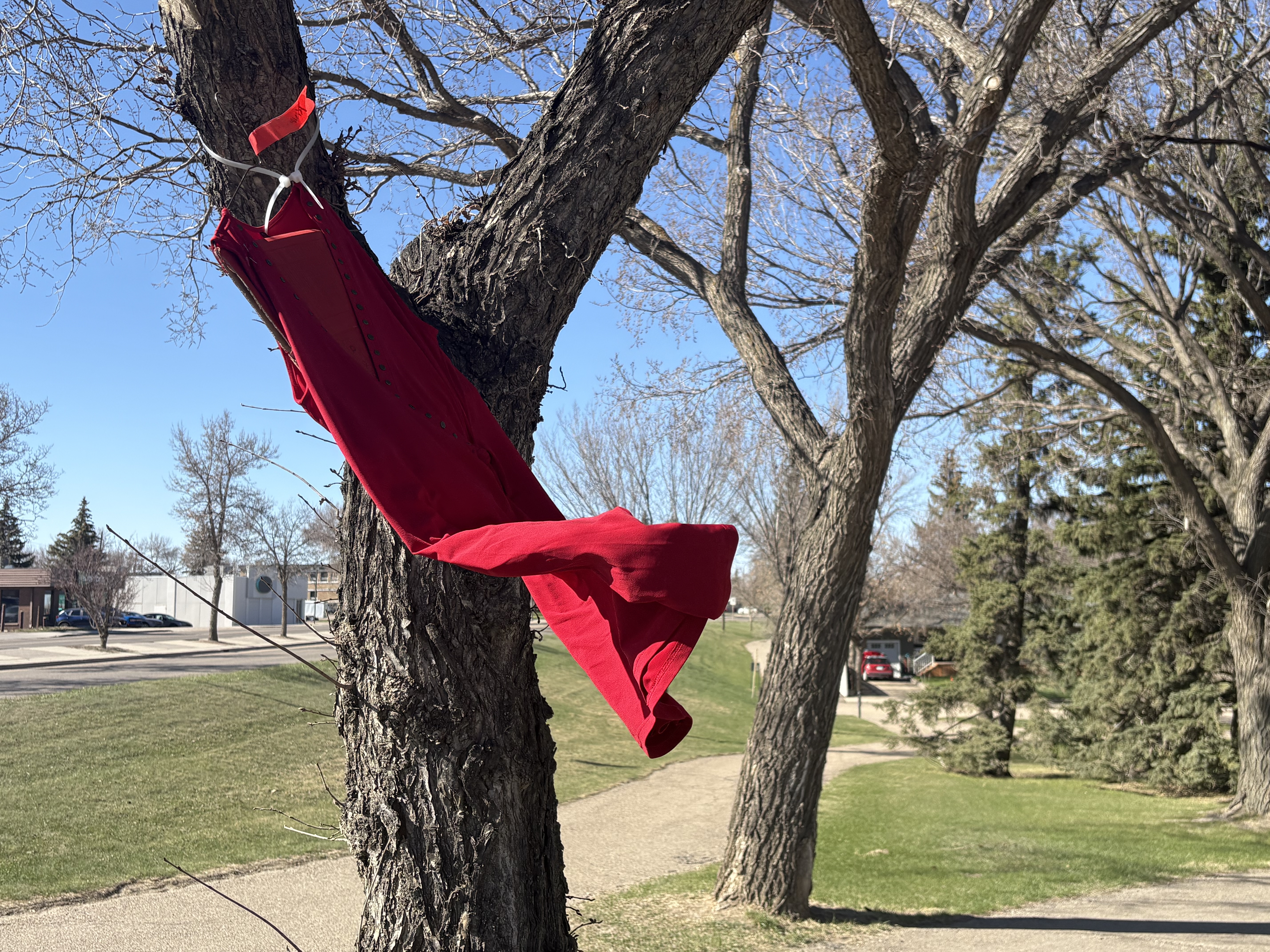 red dresses hung in trees Here's why those red dresses are hanging in Coquitlam trees