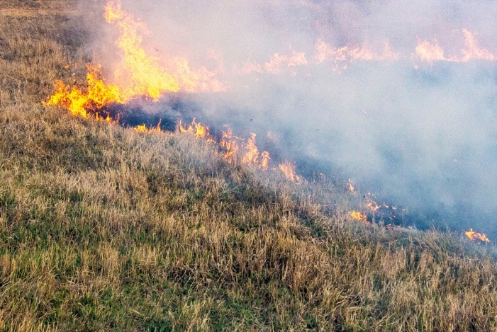 Controlled grass fire in Penhold Saturday - CentralAlbertaOnline.com ...