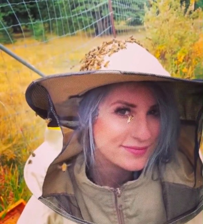 Cochrane beekeeper on the search for missing colony - CochraneNow ...
