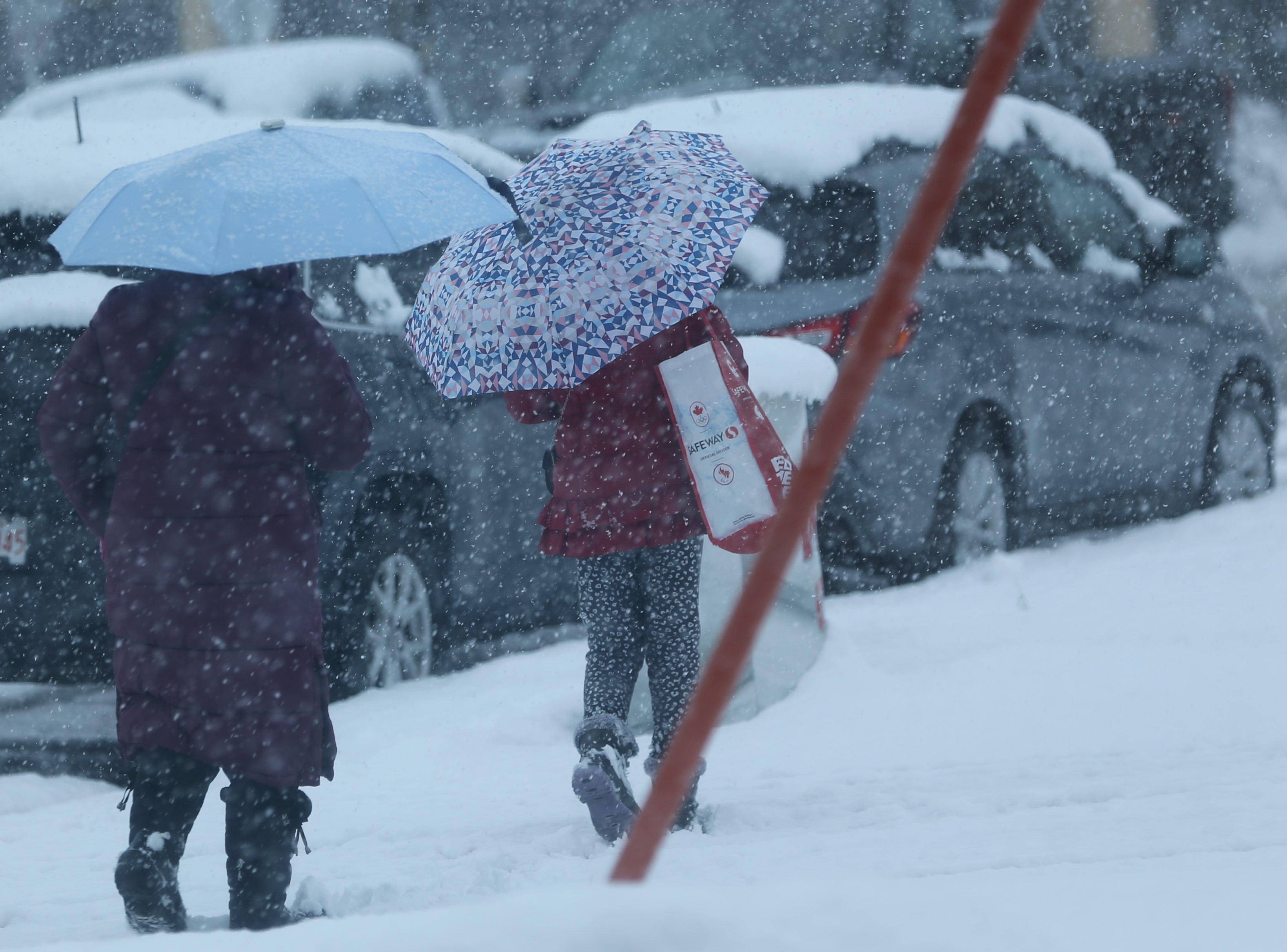Special weather statement issued near Airdrie ahead of snowy long ...