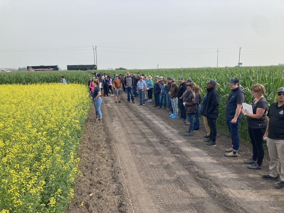 With 47 Projects: WADO gears up for a busy growing season in southwest Manitoba