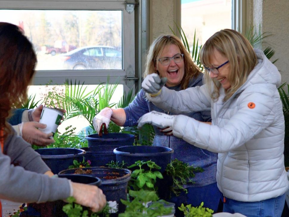 This common gardening habit could be hurting your flowers, expert warns