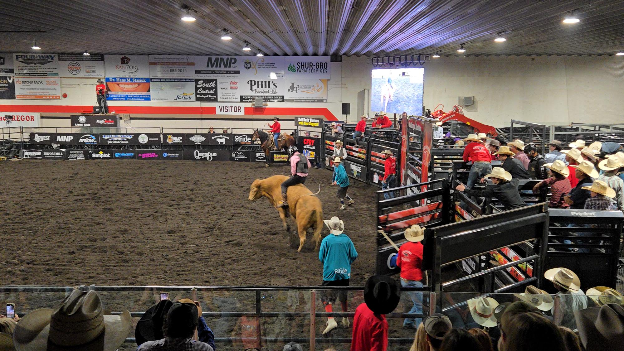 Norfolk Rodeo Rodeo action and community support highlight North Norfolk Bull Bash ...