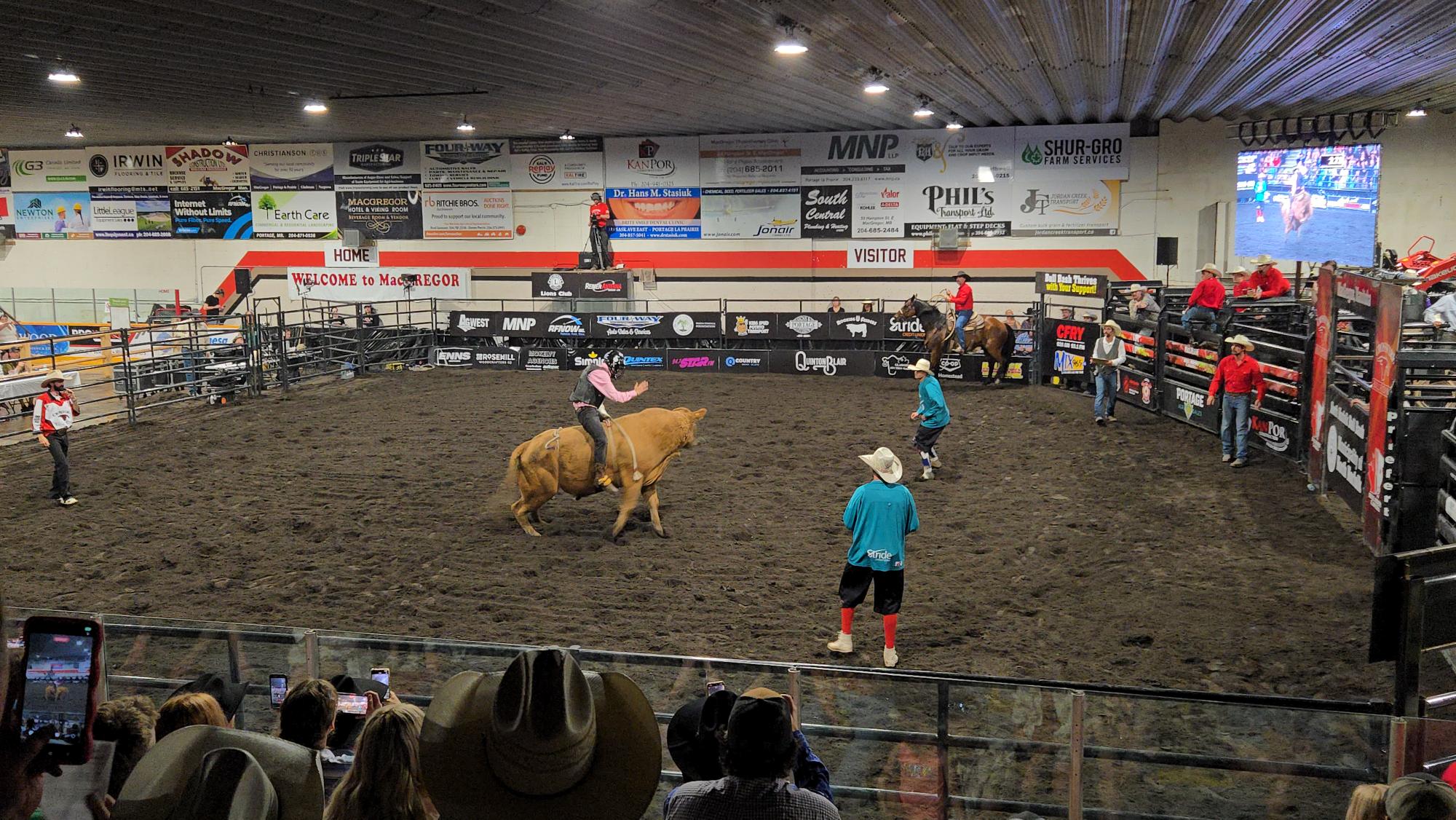 Norfolk Rodeo Rodeo action and community support highlight North Norfolk Bull Bash ...