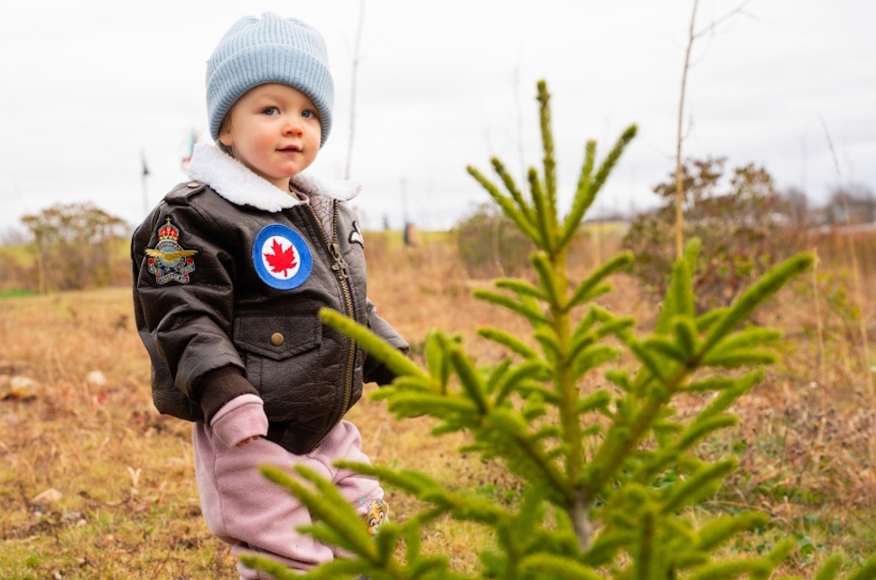 National initiative brings tree-planting effort to Red Deer