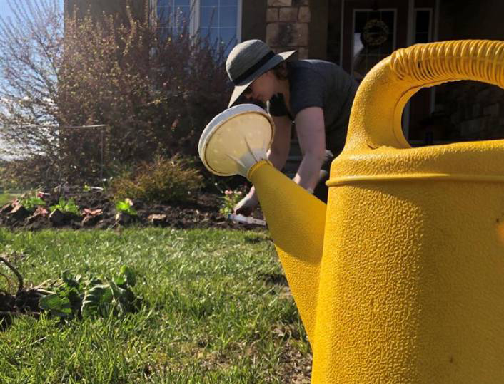 Gardening expert says it's not too late to plant