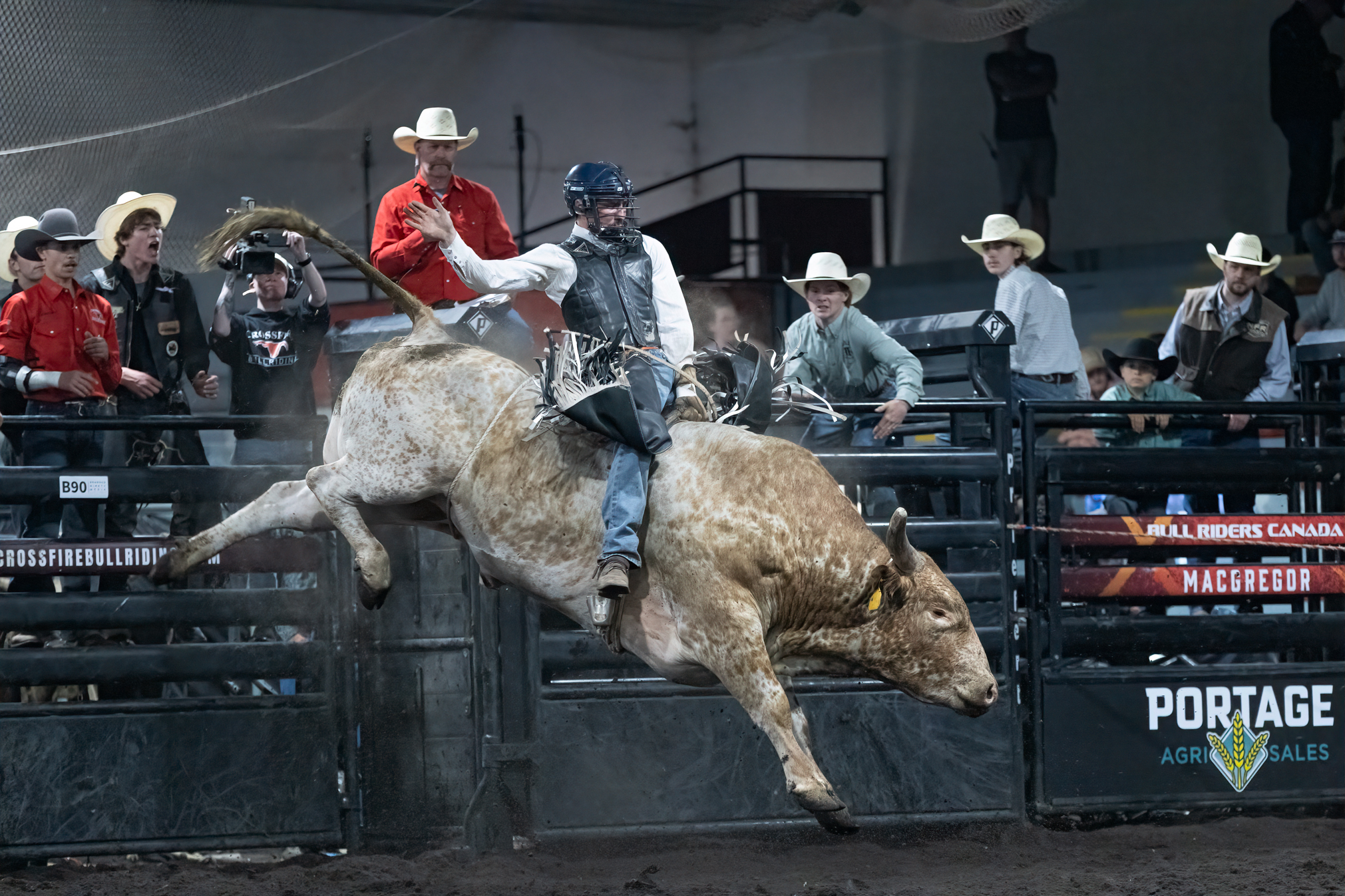 Legends rise from the dust at the North Norfolk Bull Bash ...