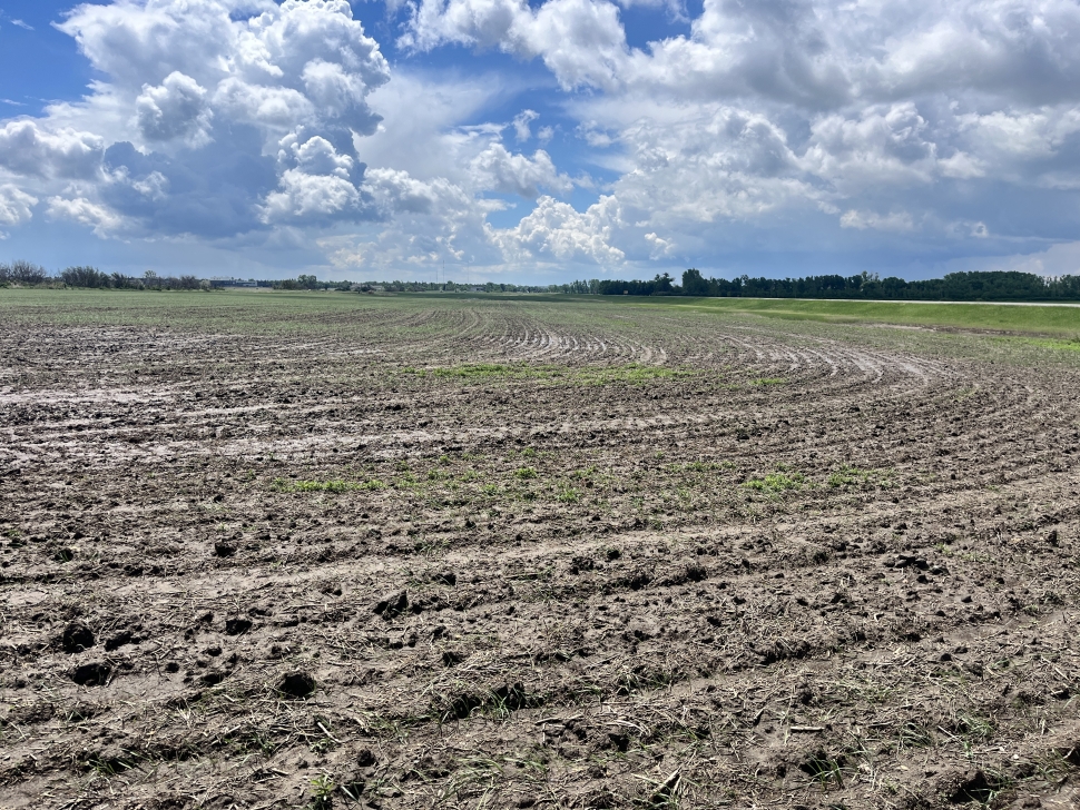 Weyburn, Estevan lead southeast in seeding progress - DiscoverWeyburn ...
