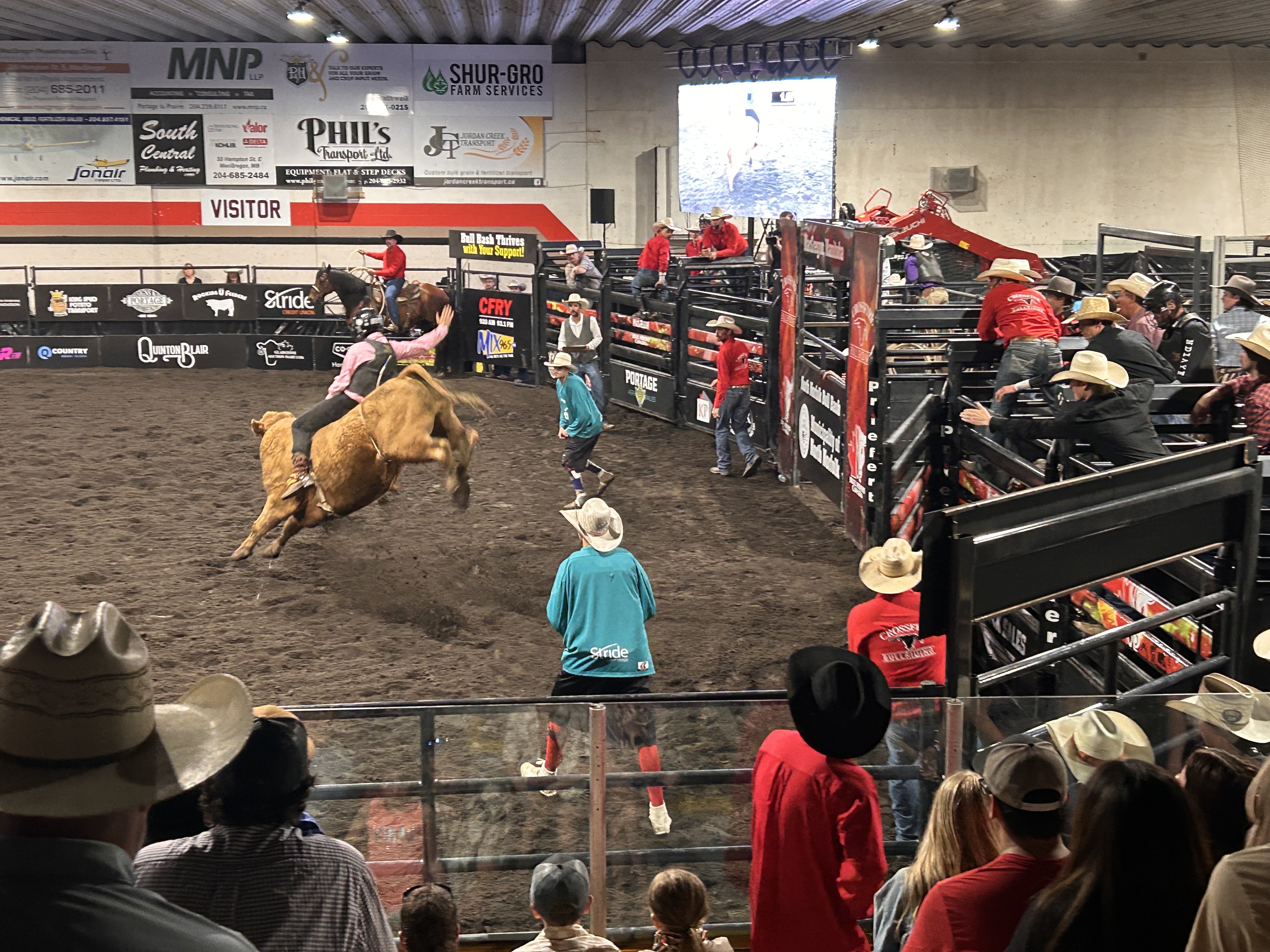 Rodeo action and community support highlight North Norfolk Bull Bash ...