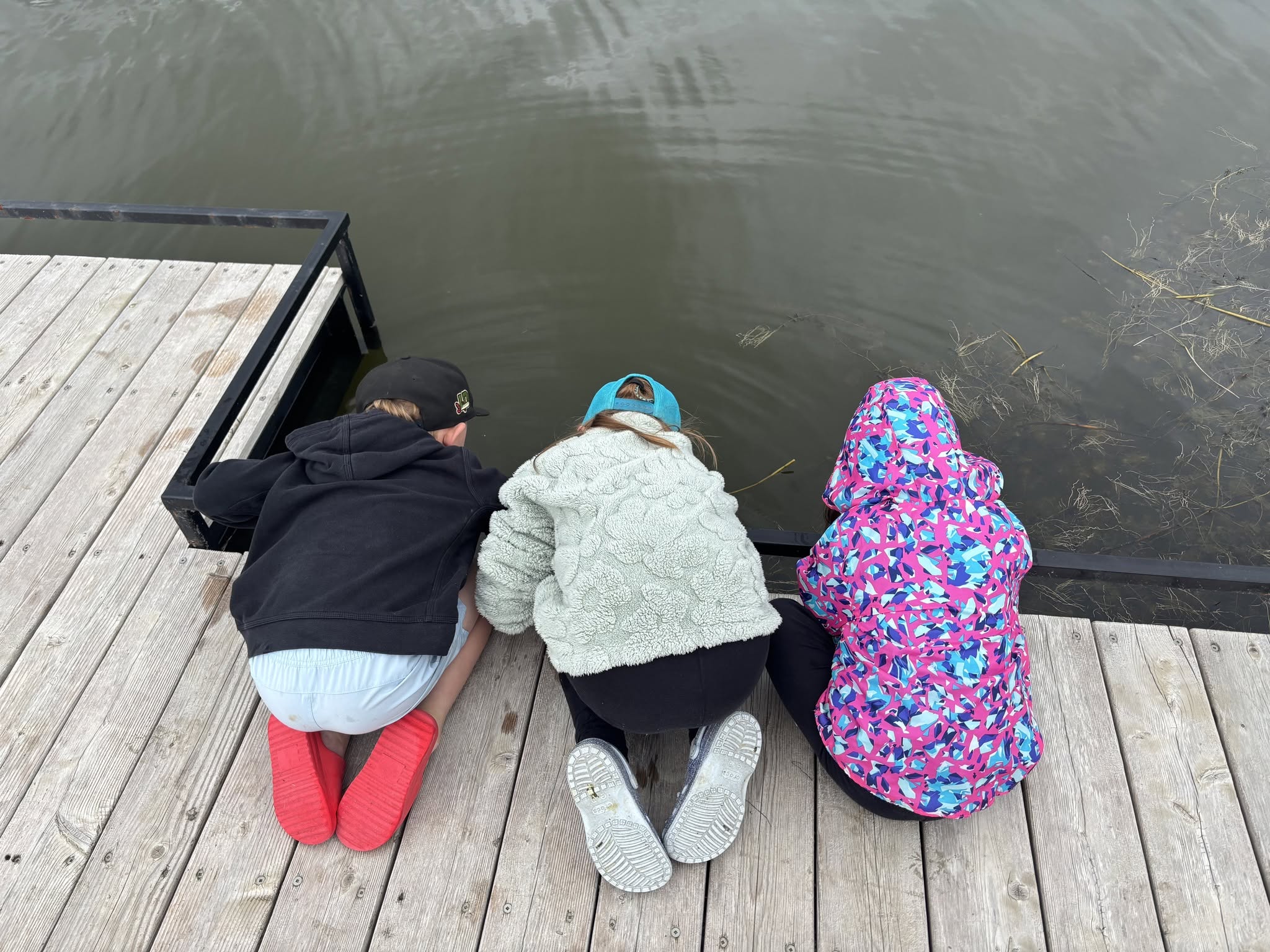 Students help release more fish at Burnett Recreation Site