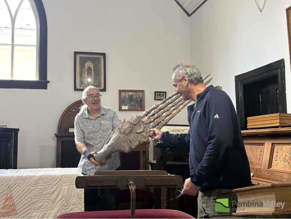 Miami Museum reopens with fresh look and expanded fossil collection