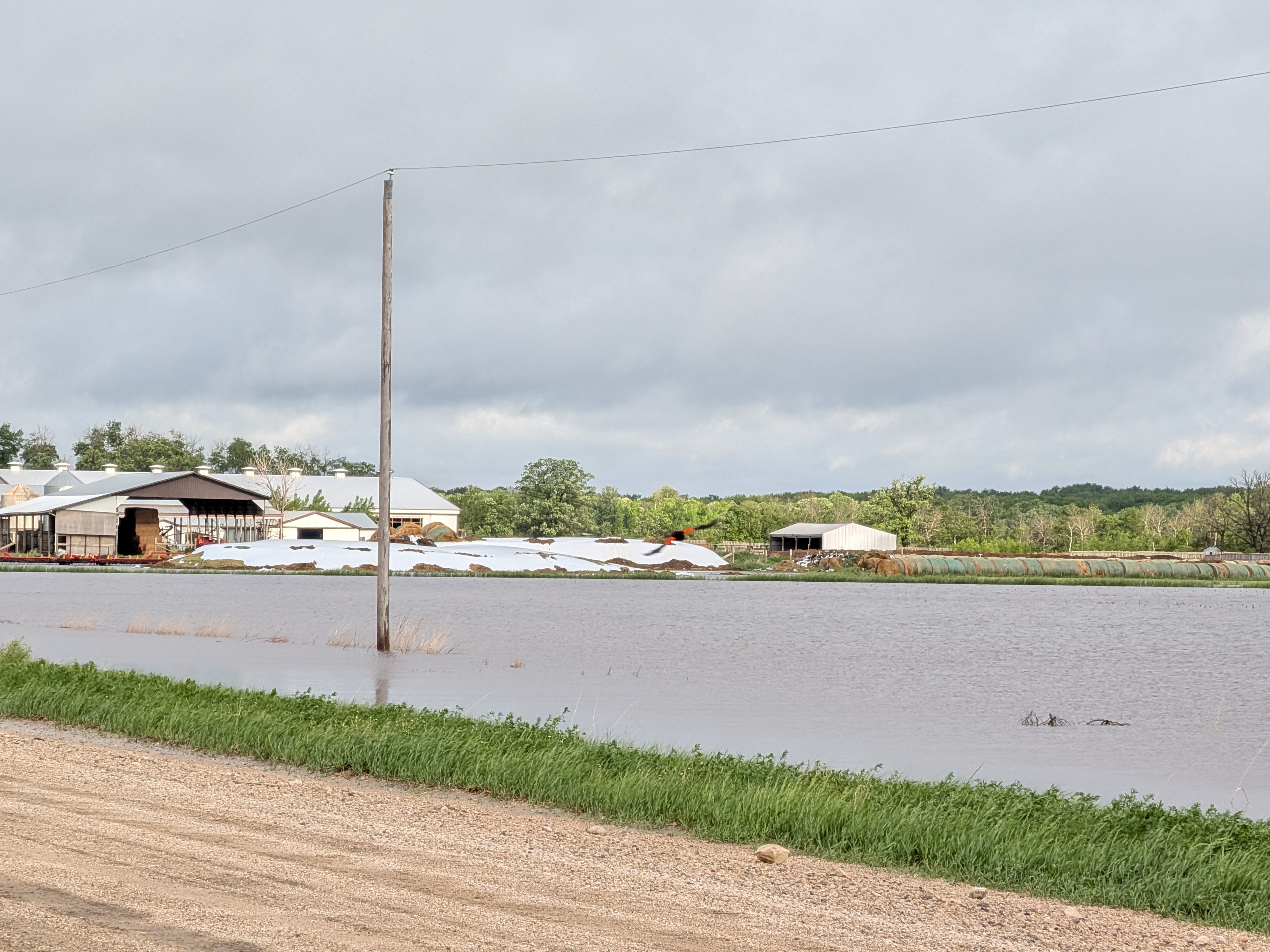 VIDEO: Historic flooding overwhelms Stonewall and Stony Mountain ...