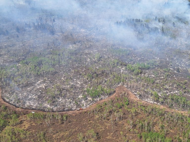 Federal government commits $47.8 million to strengthen Parks Canada wildfire preparedness