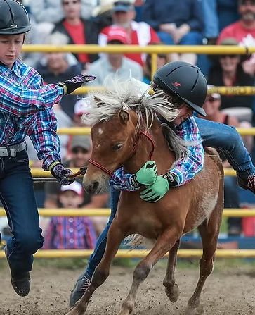 Future rodeo stars take centre stage at Airdrie Pro Rodeo grounds