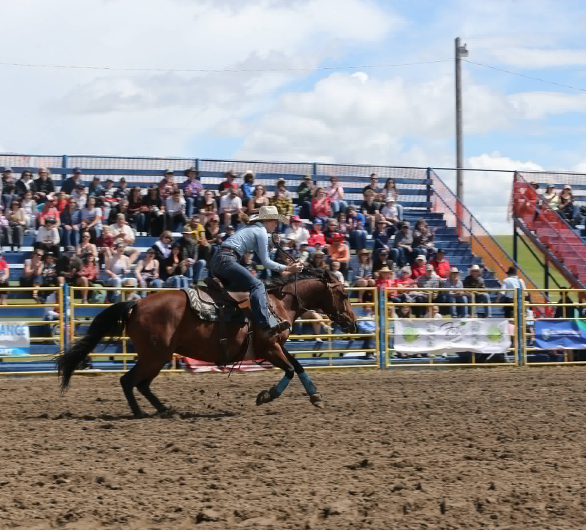 Free shuttles to run during Airdrie Pro Rodeo and cabaret nights ...