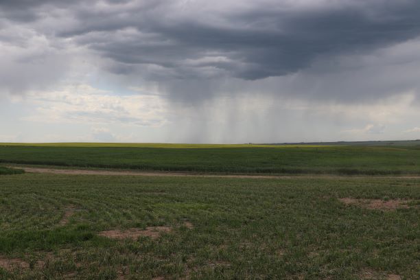 Environment and Climate Change Canada gives seasonal outlook for summer