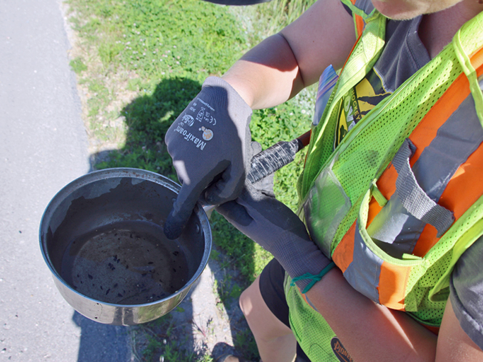 Adult mosquito spraying ordered for Morden