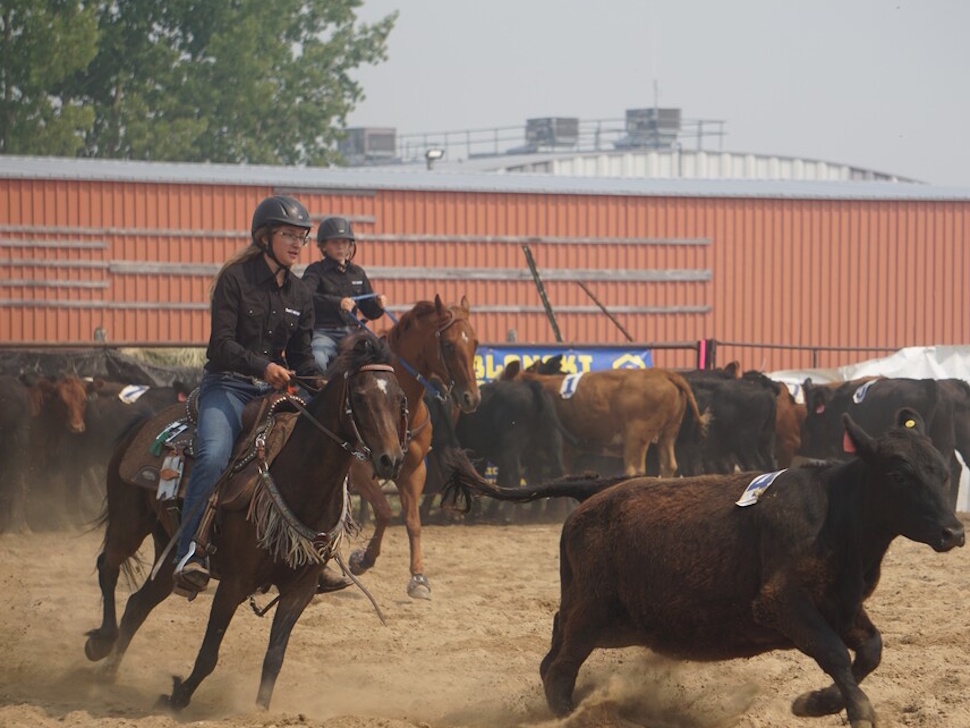 Manitoba's only pro rodeo returns to Morris