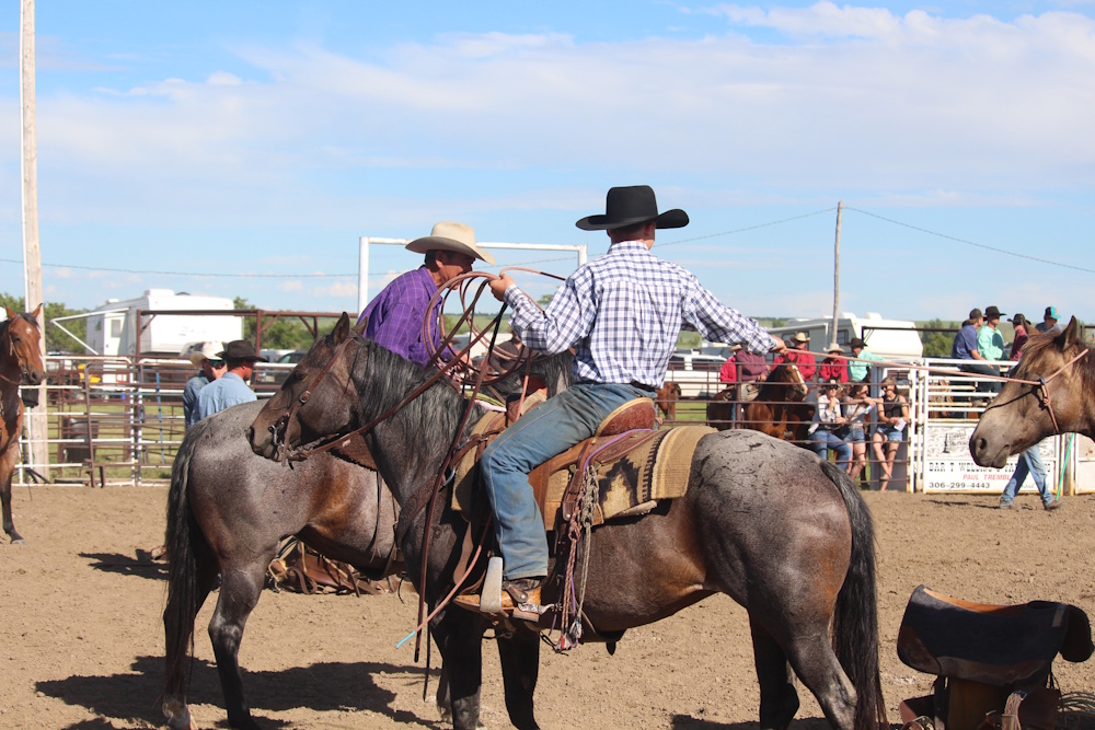 Shaunavon Ranch Rodeo showcases ranching skills - SwiftCurrentOnline ...
