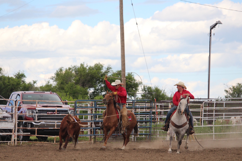 Shaunavon Ranch Rodeo showcases ranching skills - SwiftCurrentOnline ...