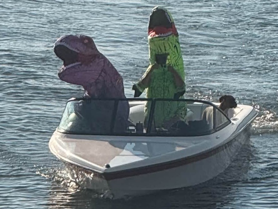 Dinosaurs spotted on Chestermere Lake