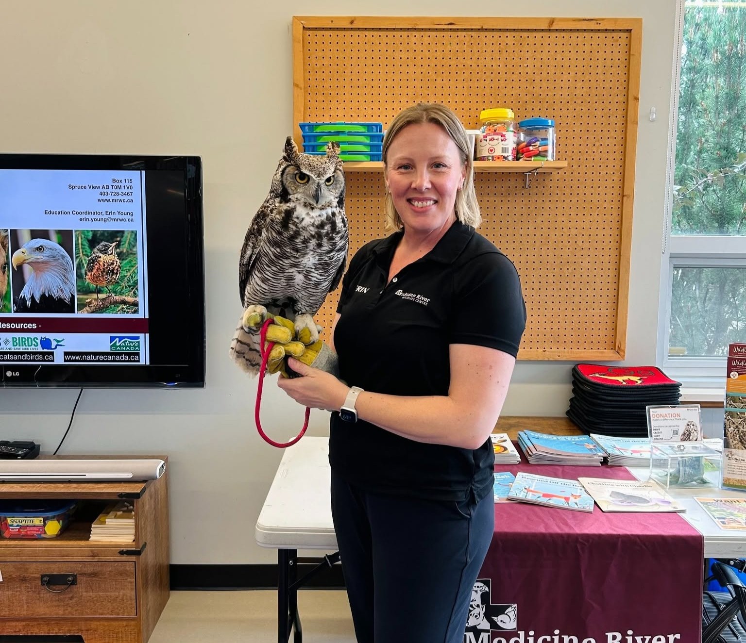Olive in the spotlight, Otis on the page: How two owls teach wildlife lessons