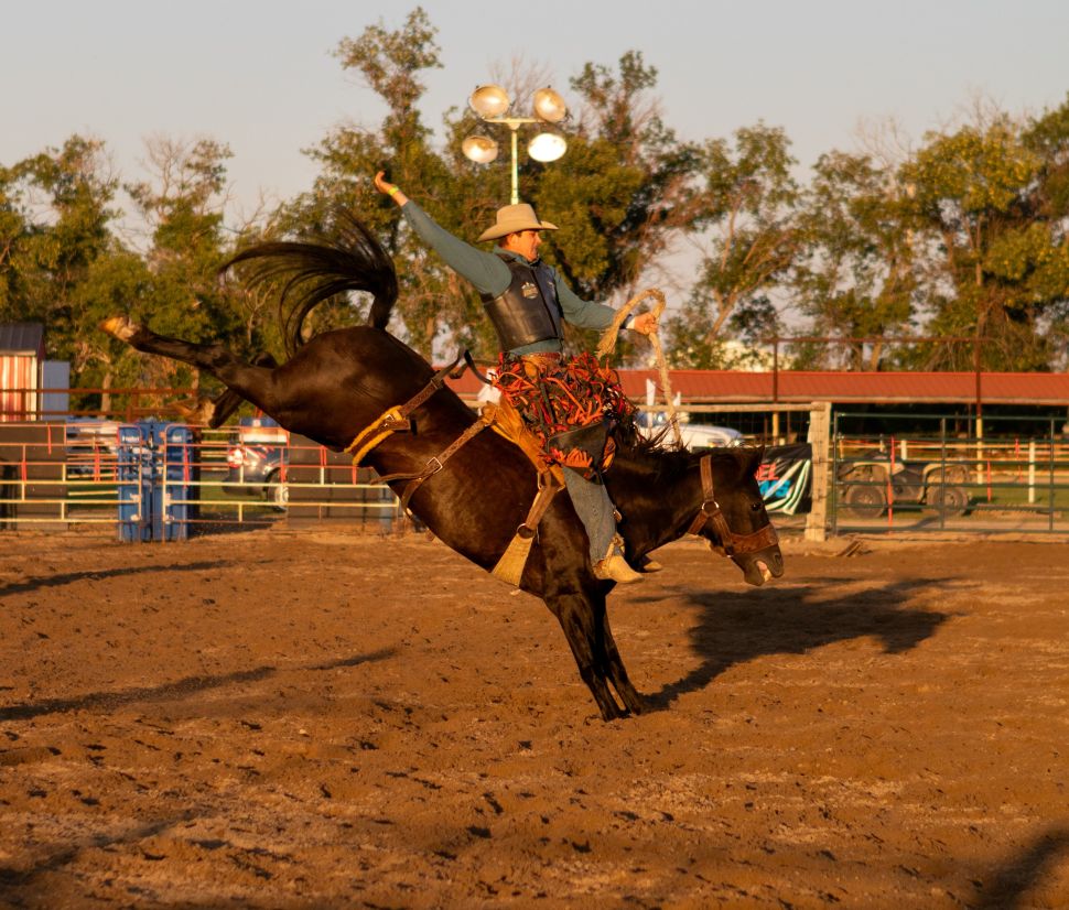Arcola rodeo sees biggest crowd yet with 10th anniversary on the horizon