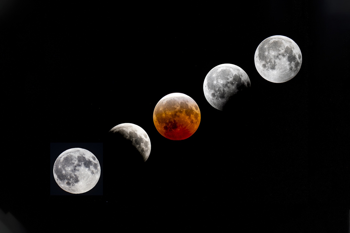 Winkler photographer captures stunning lunar eclipse