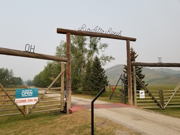 Alberta drafting management plans for OH Ranch and Pekisko heritage rangelands