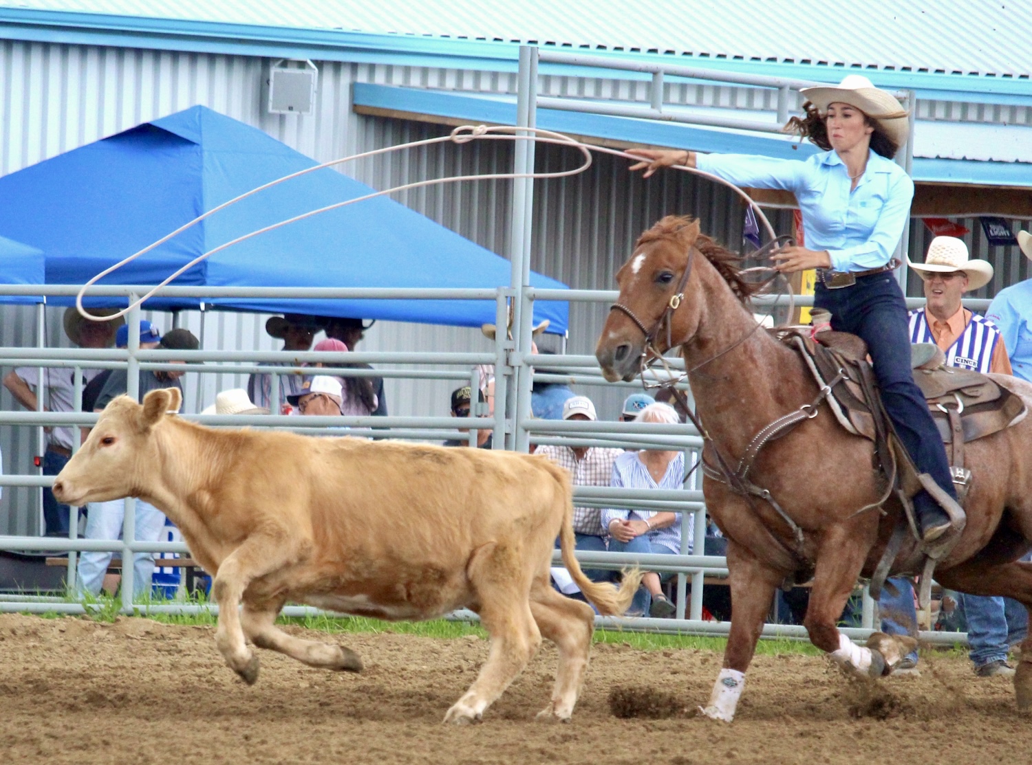 Williamson leads southwestern Saskatchewan charge in Manitoba rodeos