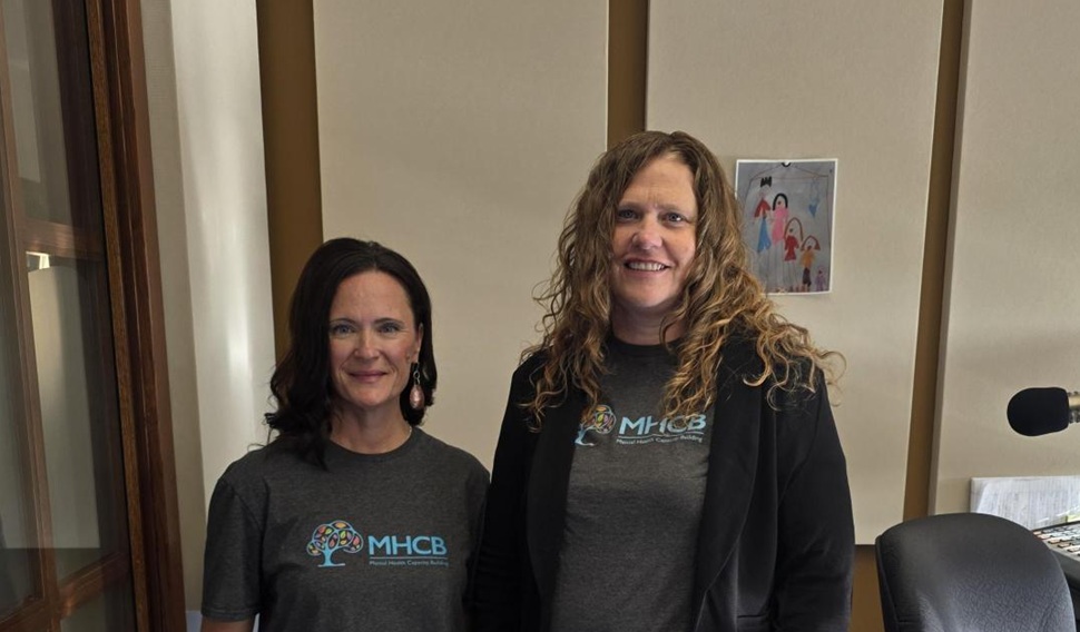 New year and school supports with the Mental Health Capacity Building ...