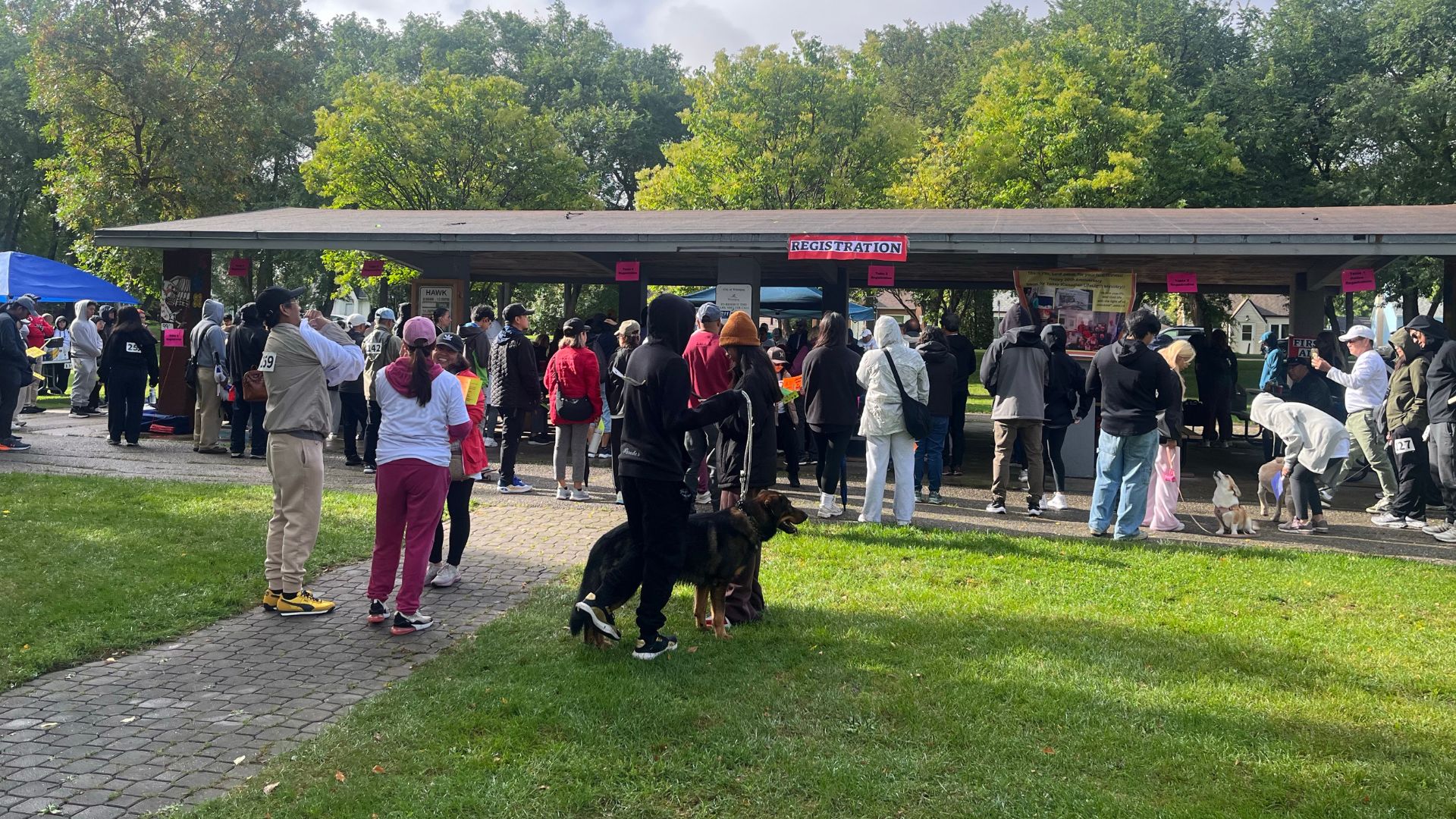 Over 100 people walk for Jesus in Winnipeg to share Bibles abroad