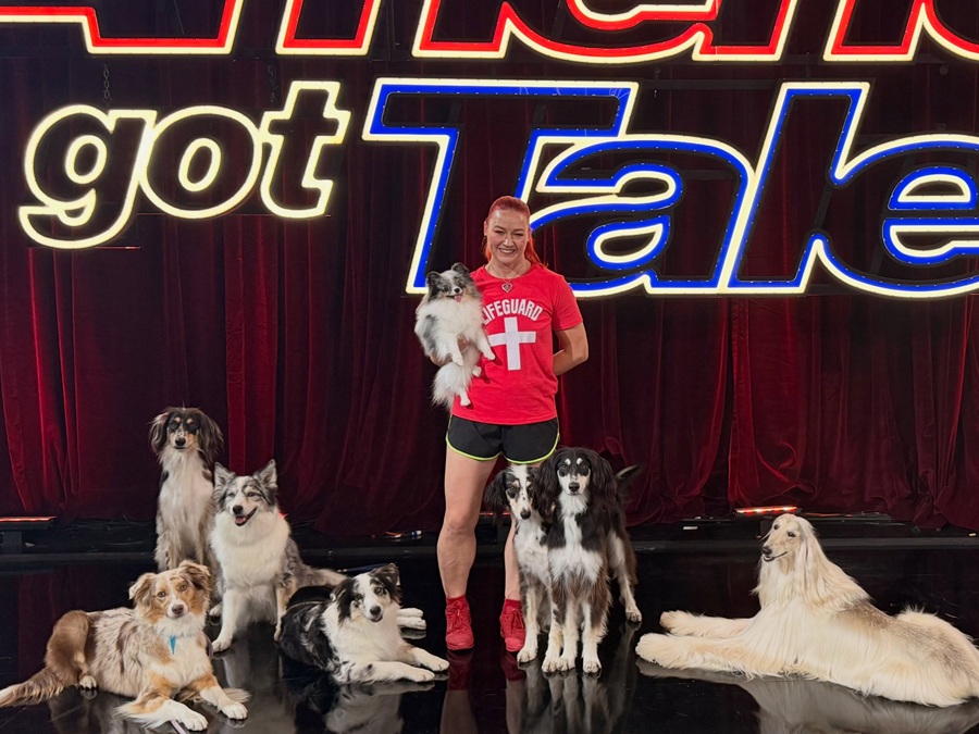 Jennifer Fraser takes Acro Canine Crew to AGT finale - StrathmoreNow ...