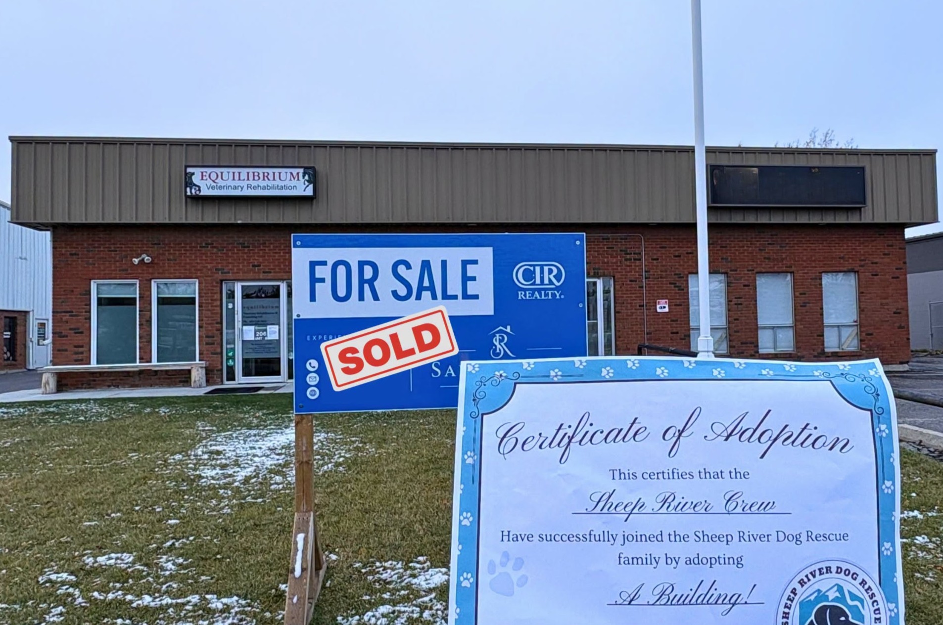 Sheep River Dog Rescue secures permanent home in Okotoks ...