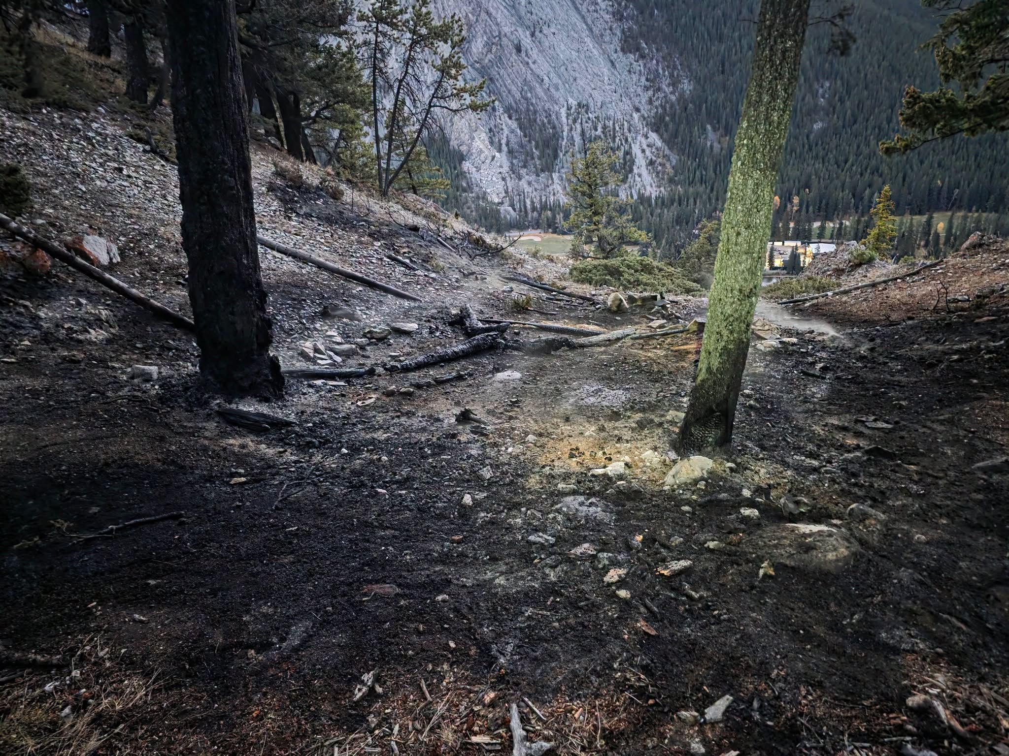 Illegal campfire believed to have started wildfire on Banff's Tunnel ...