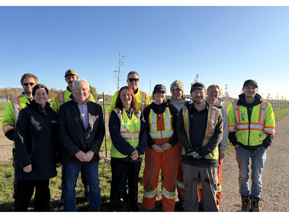 Growing greener spaces: 470 new trees coming to Brandon’s Canada ...