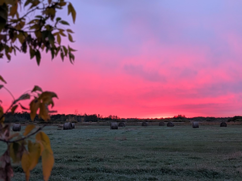 Dry weather drives major progress in Manitoba harvest