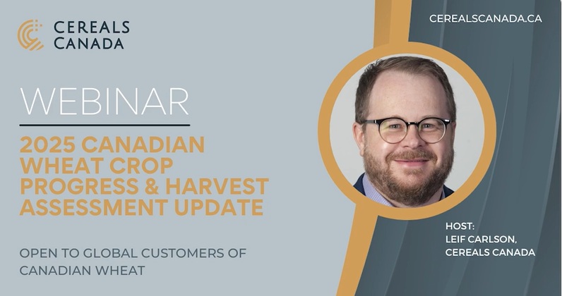Canadian wheat supplies remain strong despite smaller 2026 crop