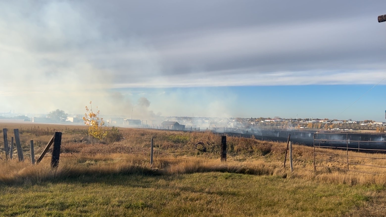 Family counting blessings after grassfire sweeps across farm south of ...